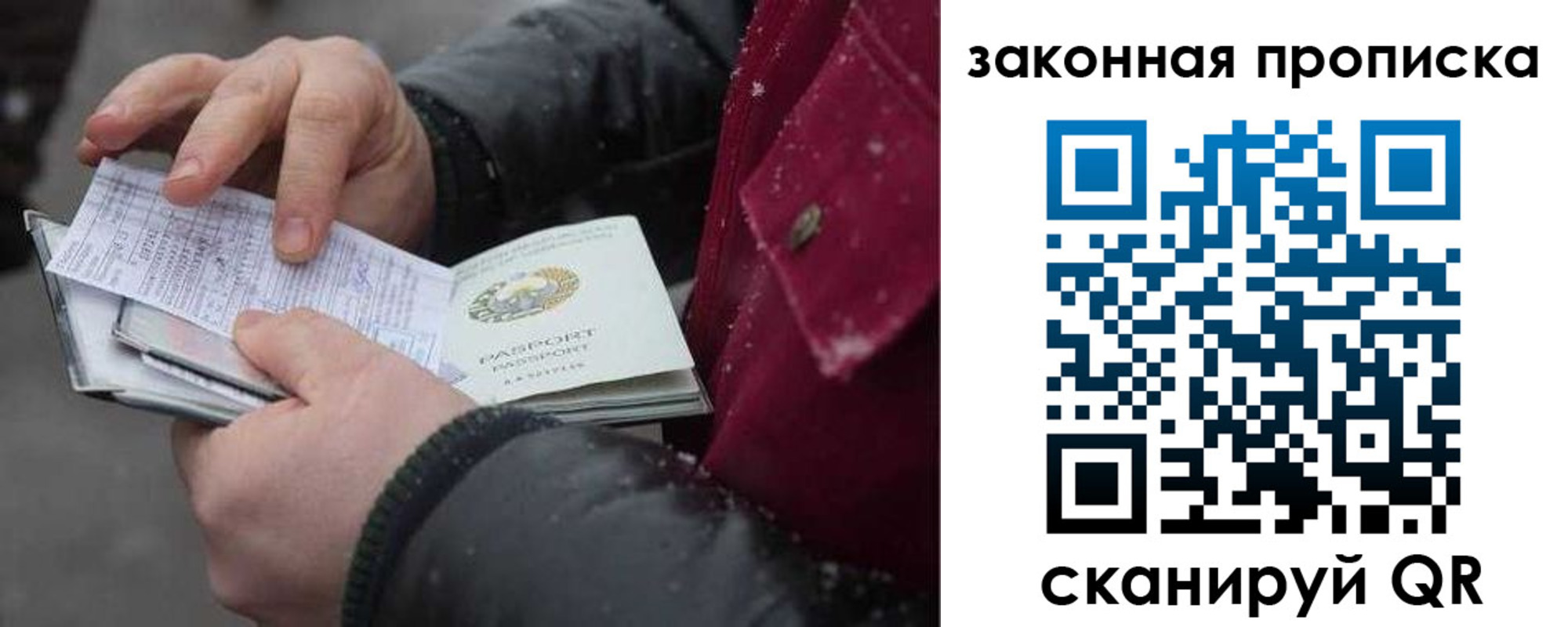 прописка поиск в Владимире